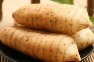 贵州林下仿野天麻